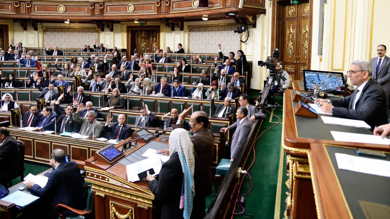 حنان عمار: توجيهات الرئيس السيسي بالإفراج عن البضائع خطوة هامة تعزز دوران عجلة الإنتاج