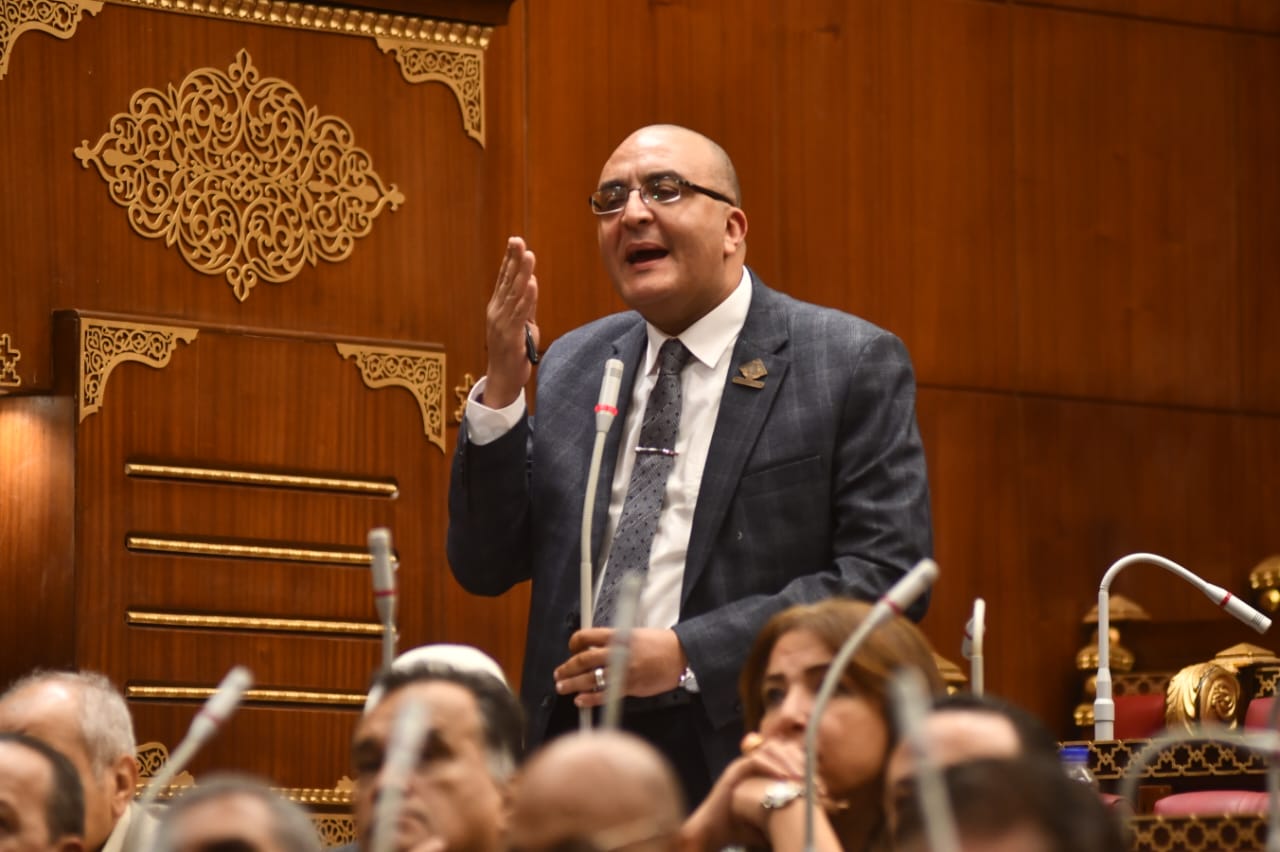 عمرو عزت يطالب الحكومة بتوضيح استراتجياتها بشأن المصريين الدارسين بالخارج بعد عودتهم