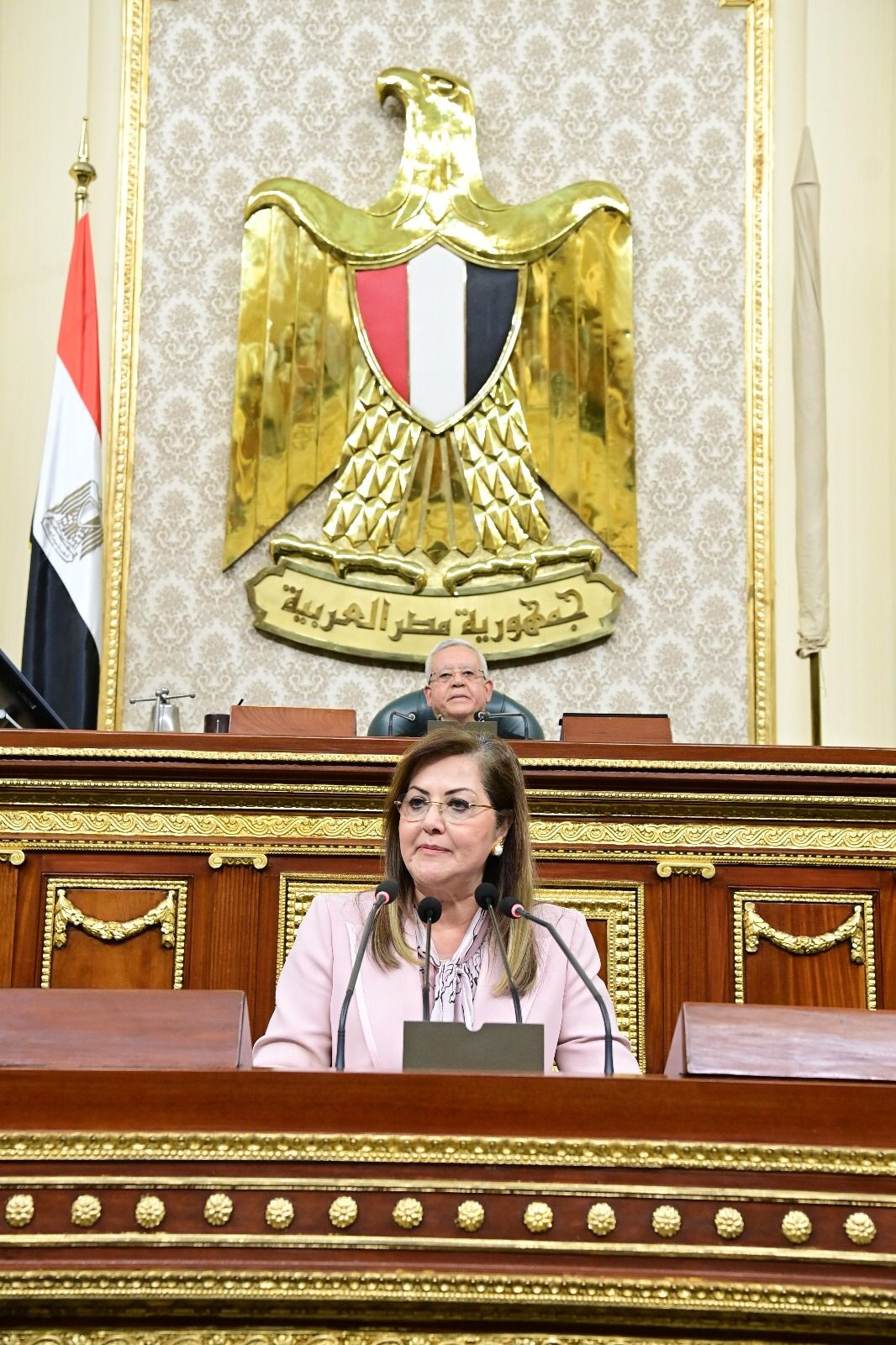 وزيرة التخطيط: 268 مليار جنيه لقطاعات التعليم والصحة والخدمات بنسبة 27% من جملة الاستثمارات