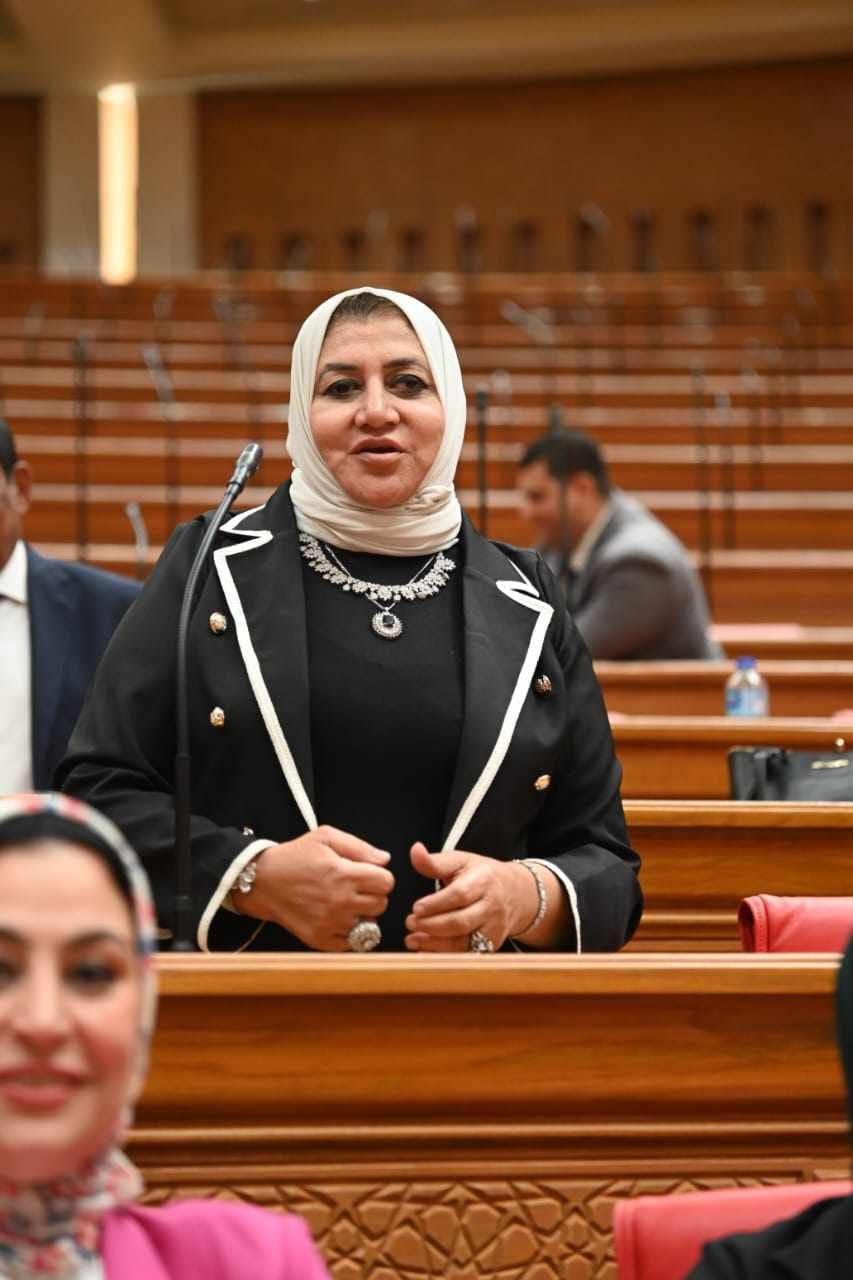 النائبة حنان عمار: مصر قامت بجهود جبارة لاستعادة أرض سيناء