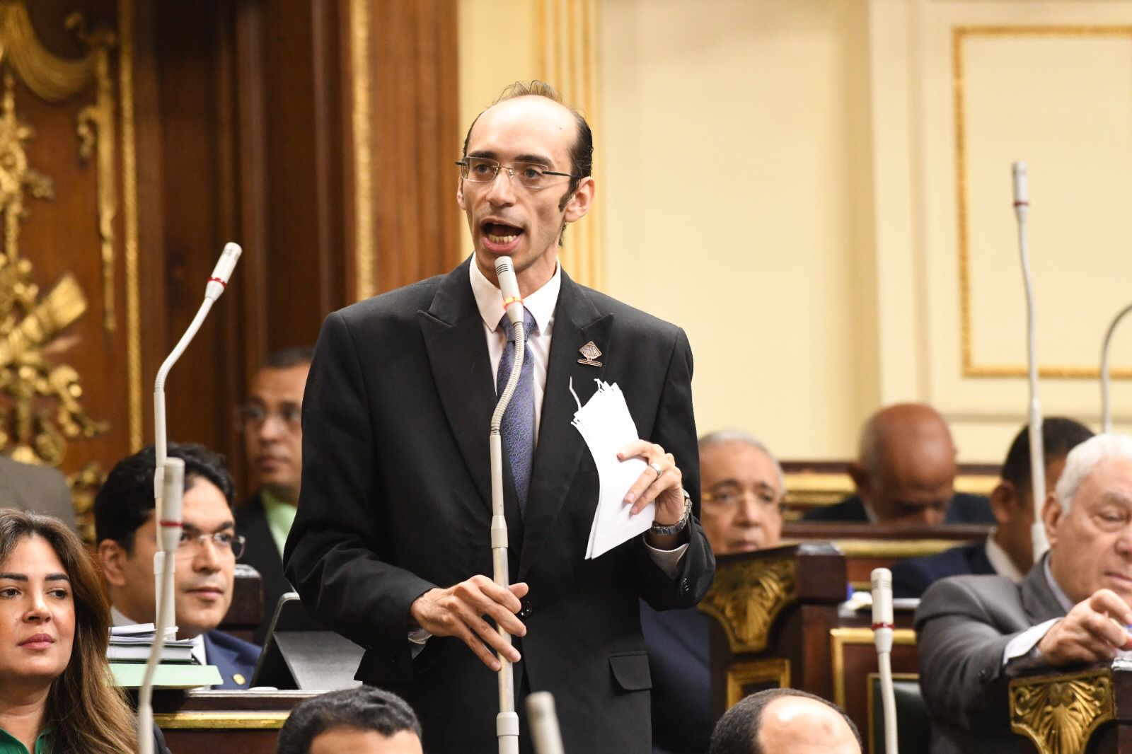 نائب التنسيقية محمد عبد العزيز: لجنة صياغة قانون الإجراءات الجنائية استجابت للدستور بشأن الحبس الاحتياطي وضمانات المحاكمة العادلة