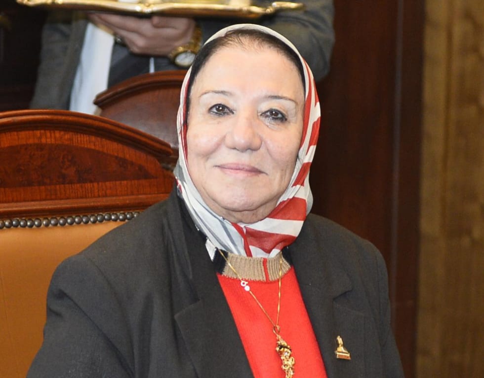 حياة خطاب: مصر لديها جيش قوي قادر على حماية البلاد
