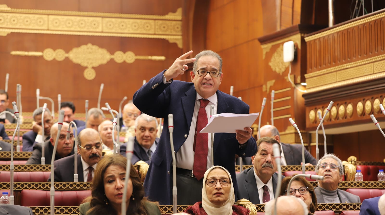 برلمانية الوفد تطالب باعتماد الاشتراك في الفعل موجب للتجريم وليس العلم به في قانون أملاك الدولة الخاصة