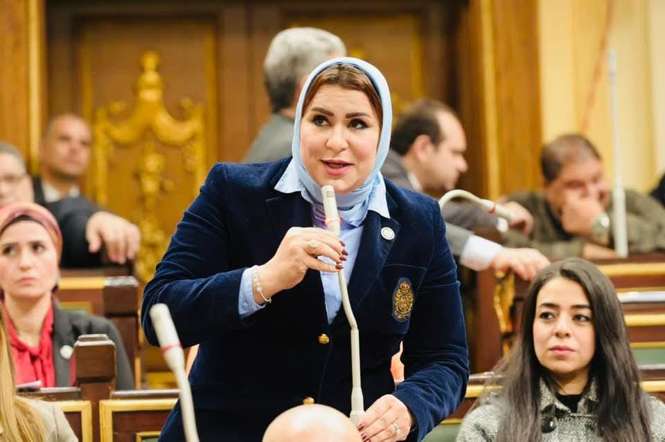 نيفين الكاتب: موقف مصر تاريخي ومشرّف بشأن وقف إطلاق النار في غزة