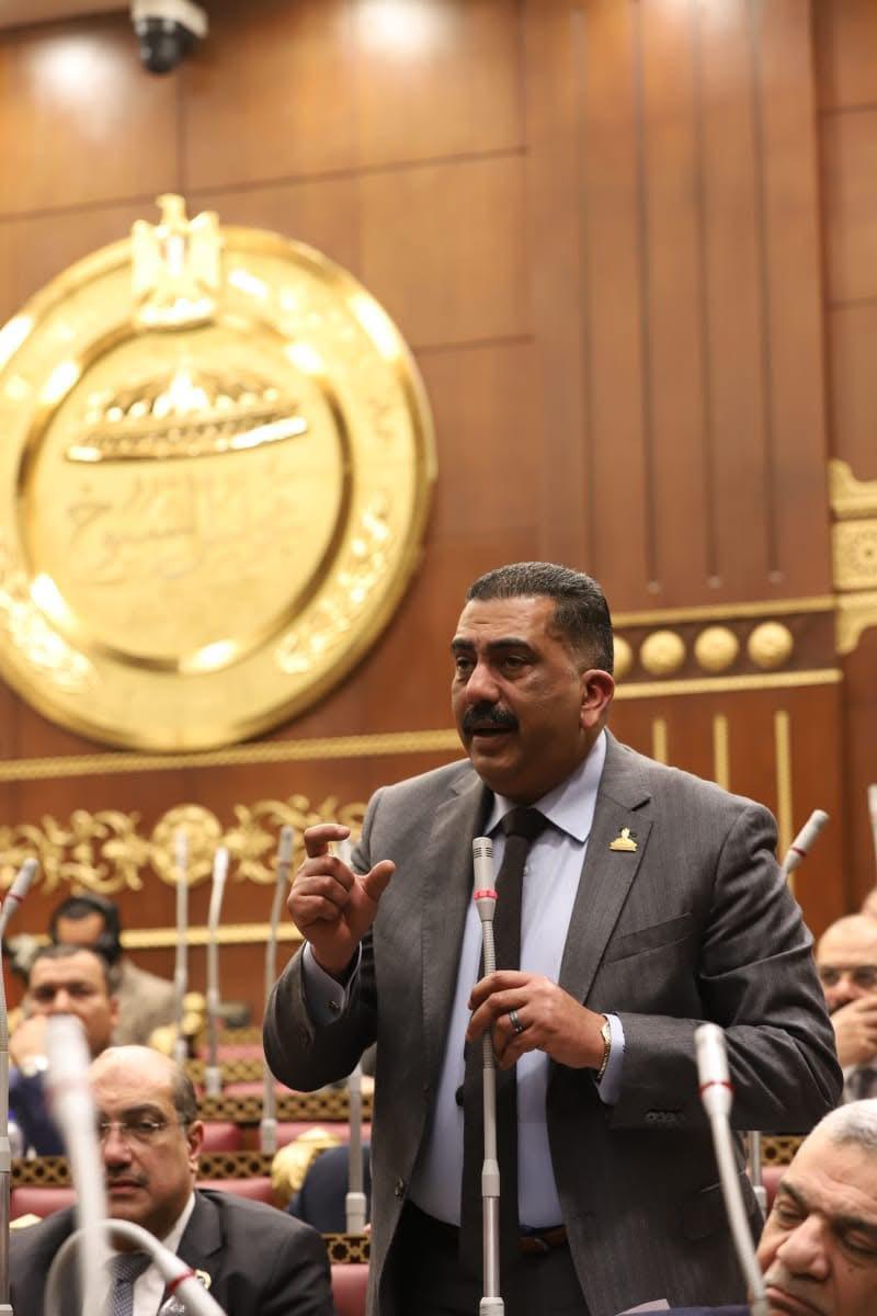 النائب هشام سويلم رافضا تصريحات ترامب: حدود مصر خط أحمر