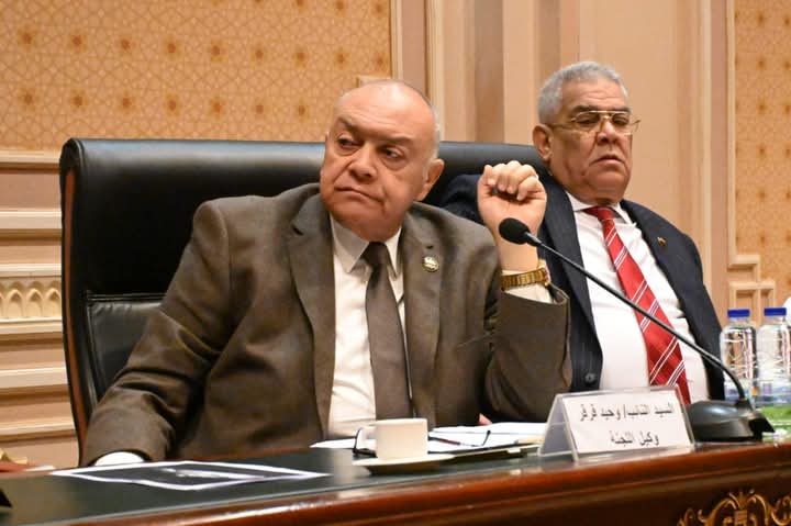 مشيدا بإنشاء خط سكة حديد "الروبيكى- العاشر"..وكيل نقل النواب: البنية التحتية تساهم في زيادة الاستثمارات وحجم التصدير