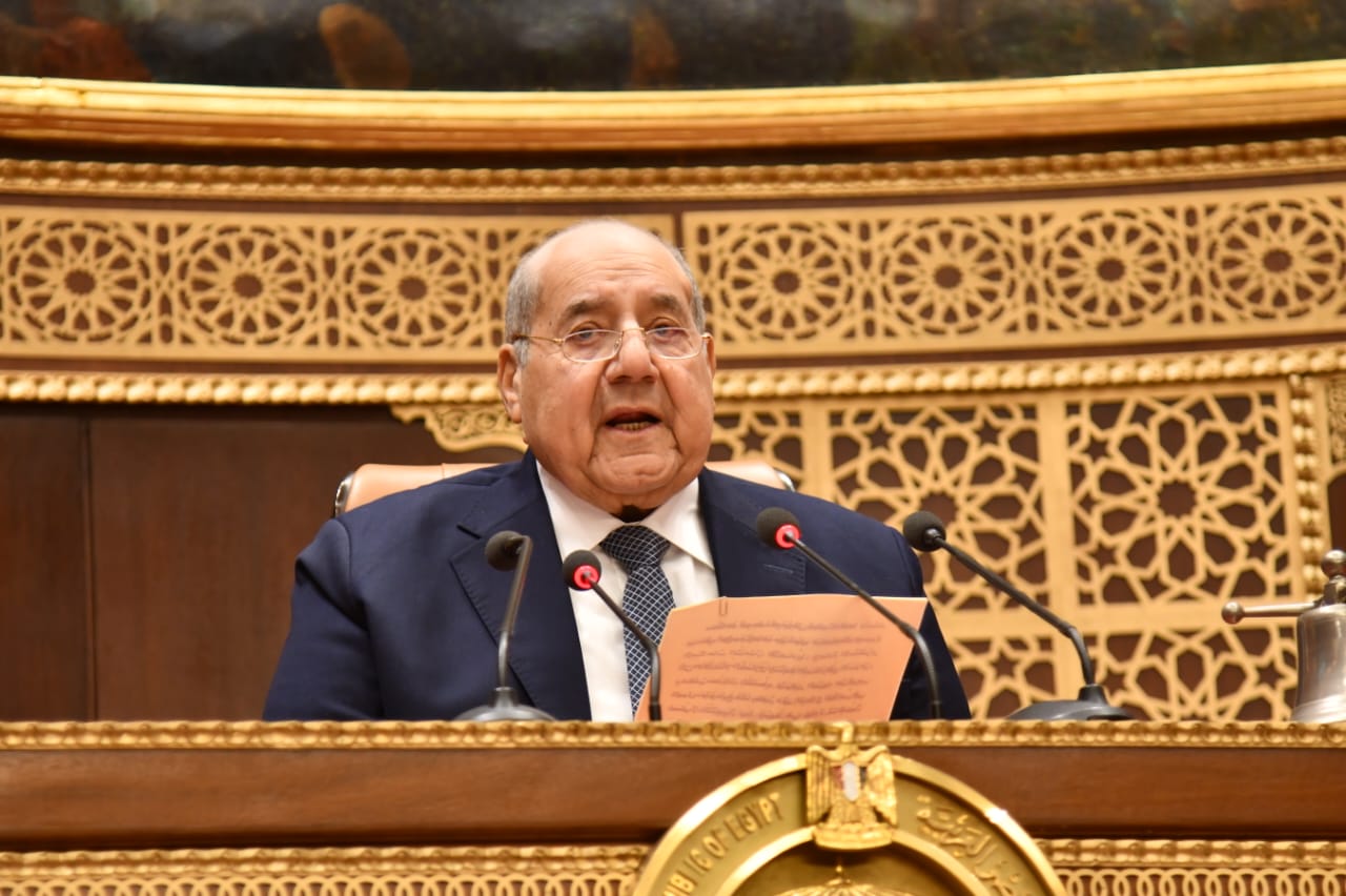 رئيس مجلس الشيوخ: توصيات المجلس تُنفذ باهتمام حكومي ومتابعة دقيقة.. وندعم تعزيز الصادرات والطاقة المتجددة