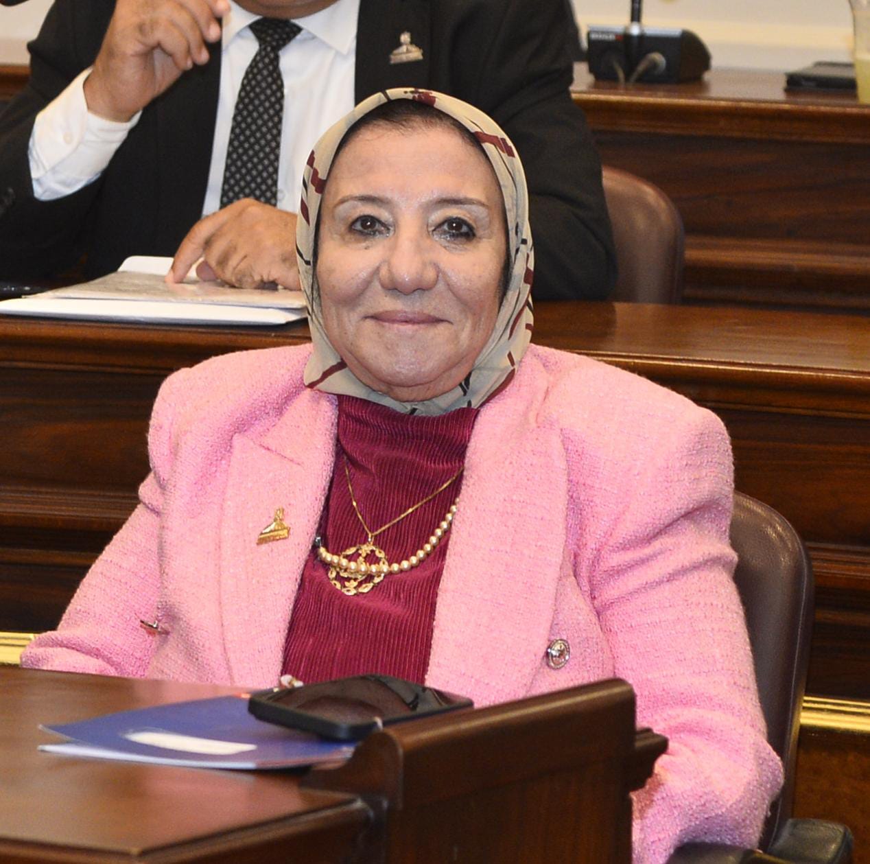 حياة خطاب: رؤية مصر لإعادة إعمار غزة متكاملة الأركان