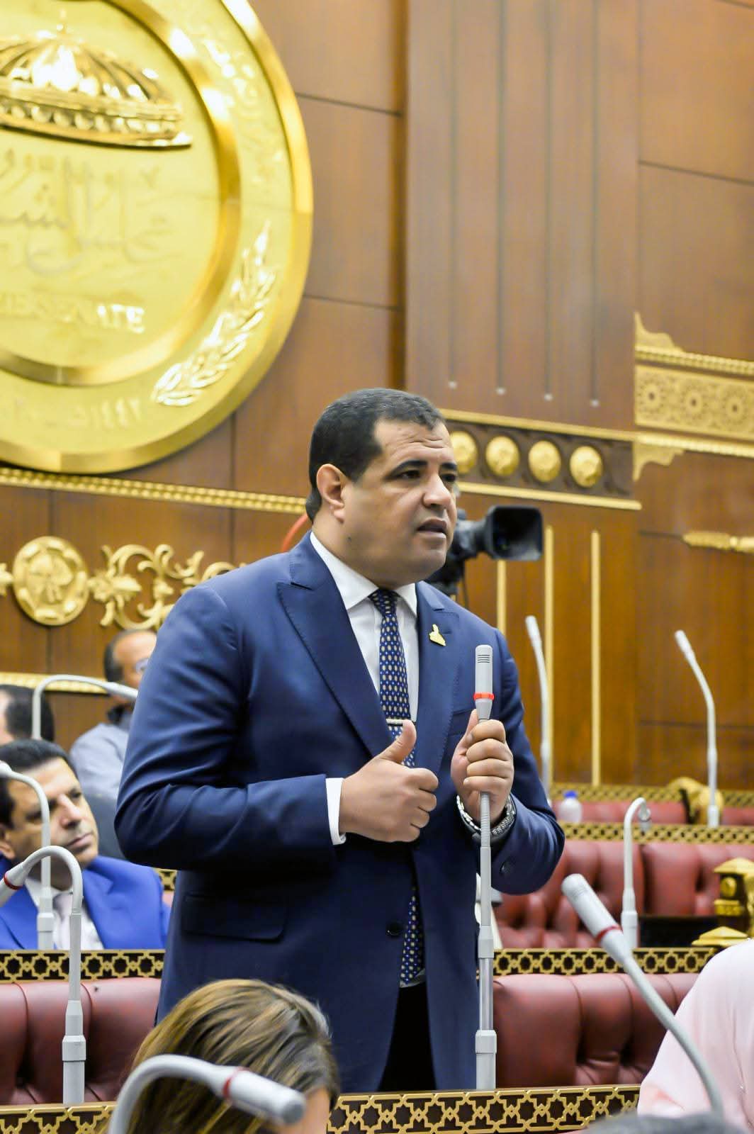 النائب مصطفي الكحيلي : إحتشاد المصريين يؤكد إصطفافهم خلف القيادة السياسية ورفض التهجير القسري للفلسطينين