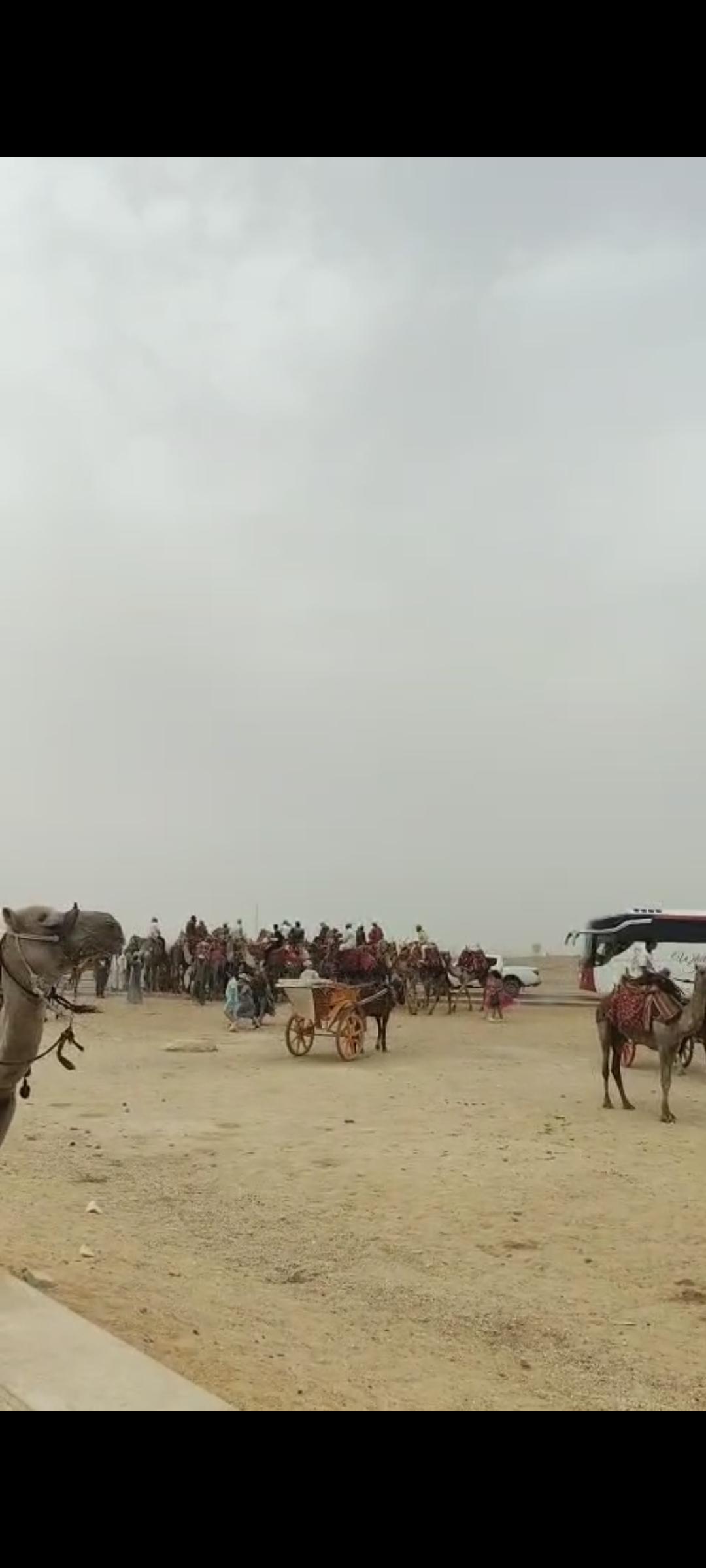 أمام عيون السياح.. الخيالة والهجانة يقطعون الطريق قبل الافتتاح التجريبي لمشروع تطوير الأهرامات.. فيديو