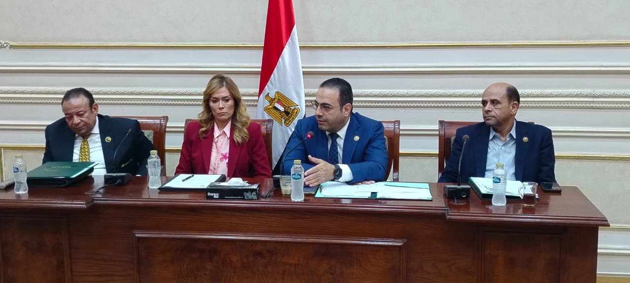 ٢٨ توصية ... رياضة النواب تطالب الأكاديمية الوطنية للتدريب بتوجيه برامج متخصصة لشباب المصريين بالخارج
