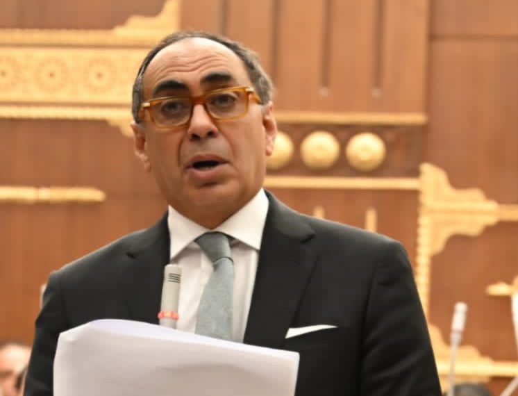 هانى سرى الدين ينتقد هيمنة الاستثمار الحكومي ويحذر من إهمال القطاع الخاص في خطة التنمية