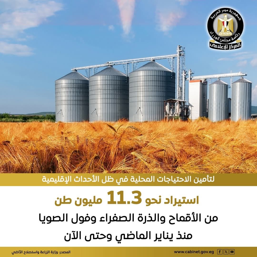 إجراءات مصرية استباقية للأزمات الإقليمية الراهنة لضمان تحقيق الأمن الغذائي للمواطنين