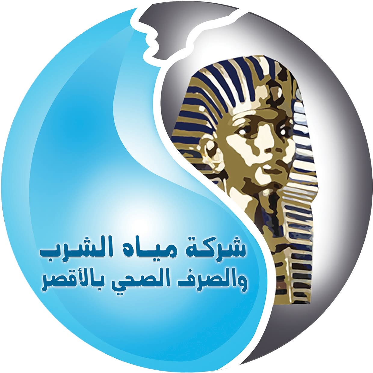 شركة مياه الشرب بمحافظة الأقصر: ظاهرة “الكركم المضيء”اهدار للمياه