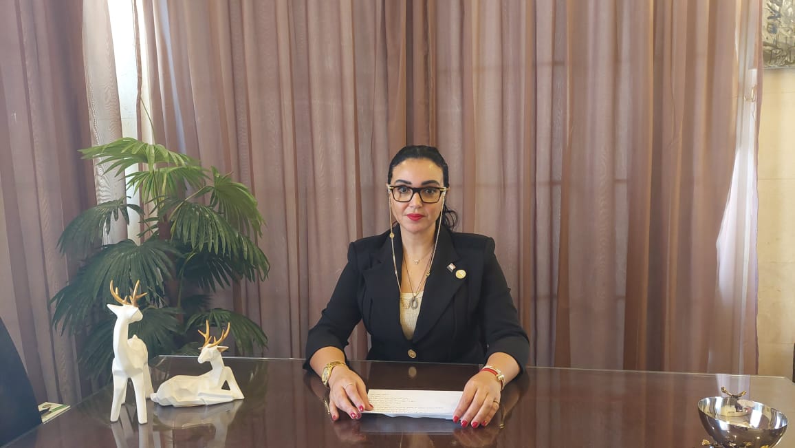 عضو بالشيوخ تطالب بإعداد حزمة تيسيرات للممولين فى قانون الضرائب العقارية
