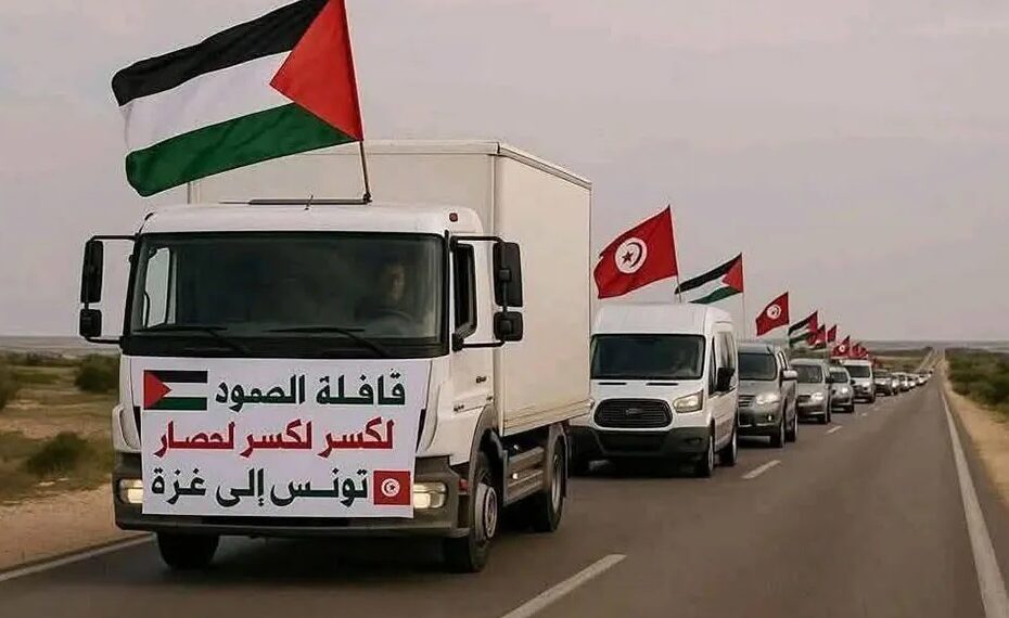 مصر تُنقذ حياة الصغار.. من رفح بدأت حكاية الأمل