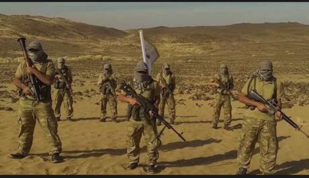 فيديو لمسلحين ملثمين يهددون مصر يثير غضبا