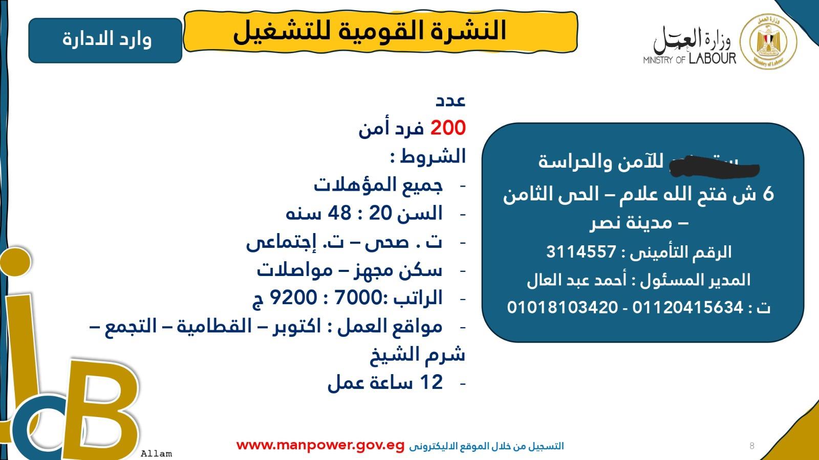 وزارة العمل :براتب 9200 جنيه.. فرص عمل في مجال الأمن بالقاهرة والجيزة