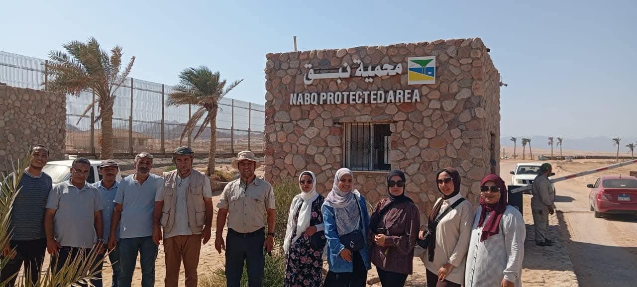 وزارة البيئة.... تنفذ حملة للتخلص من المخلفات والتوعية بمحمية نبق الطبيعية بجنوب سيناء