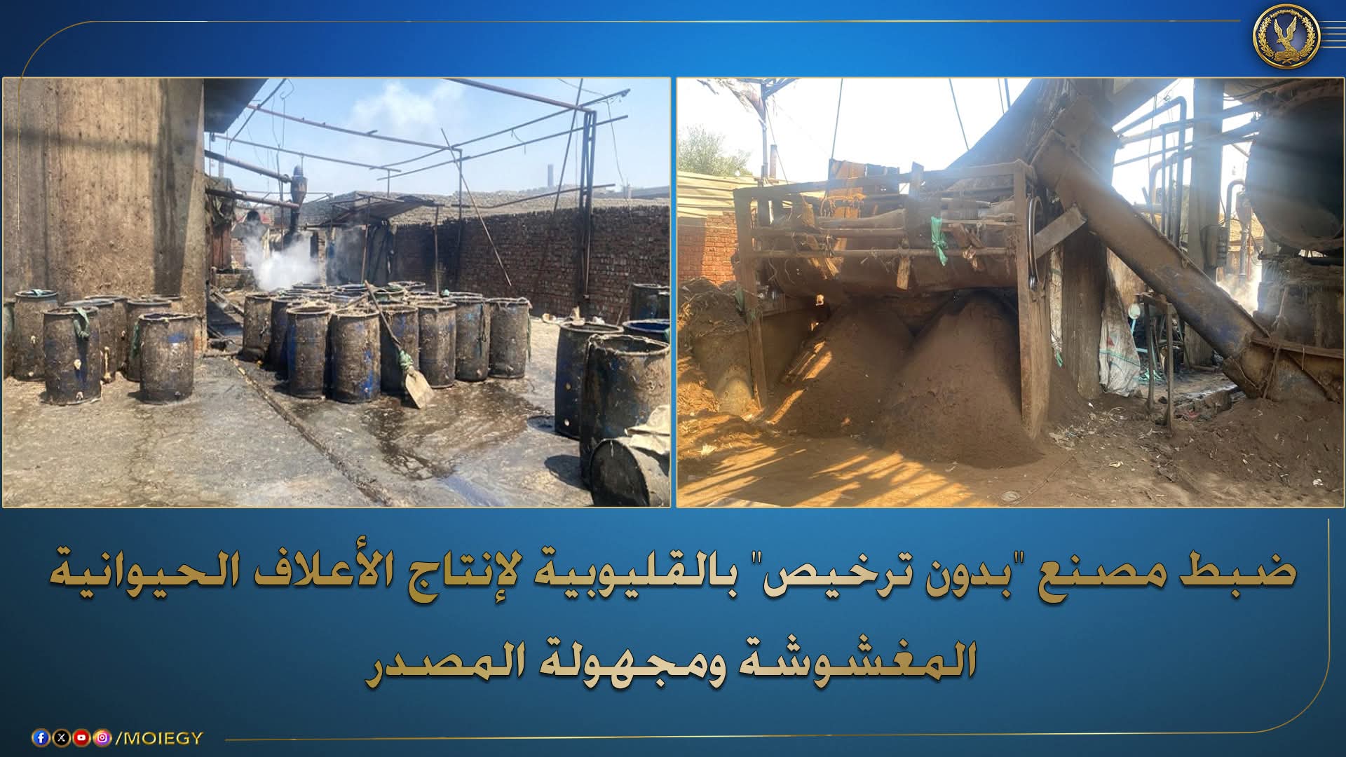 الداخليه :ضبط صاحب مصنع للأعلاف الحيوانية والداجنة المغشوشة وغير المسجلة
