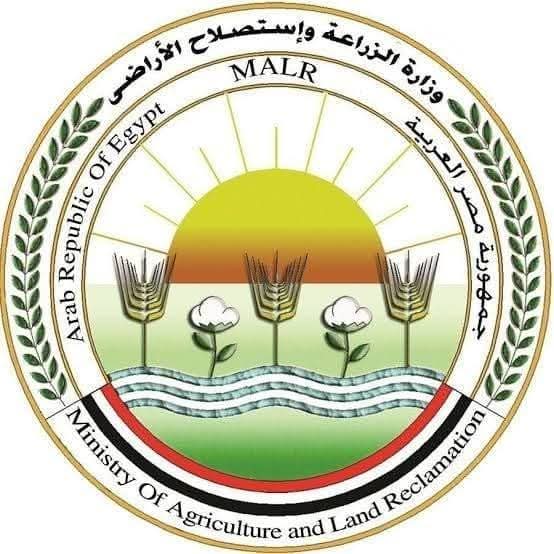 مركز البحوث الزراعية: إعلانات منتجات زيت الزيتون على مواقع التواصل الاجتماعي لا تتبعنا وتضلل المواطنين