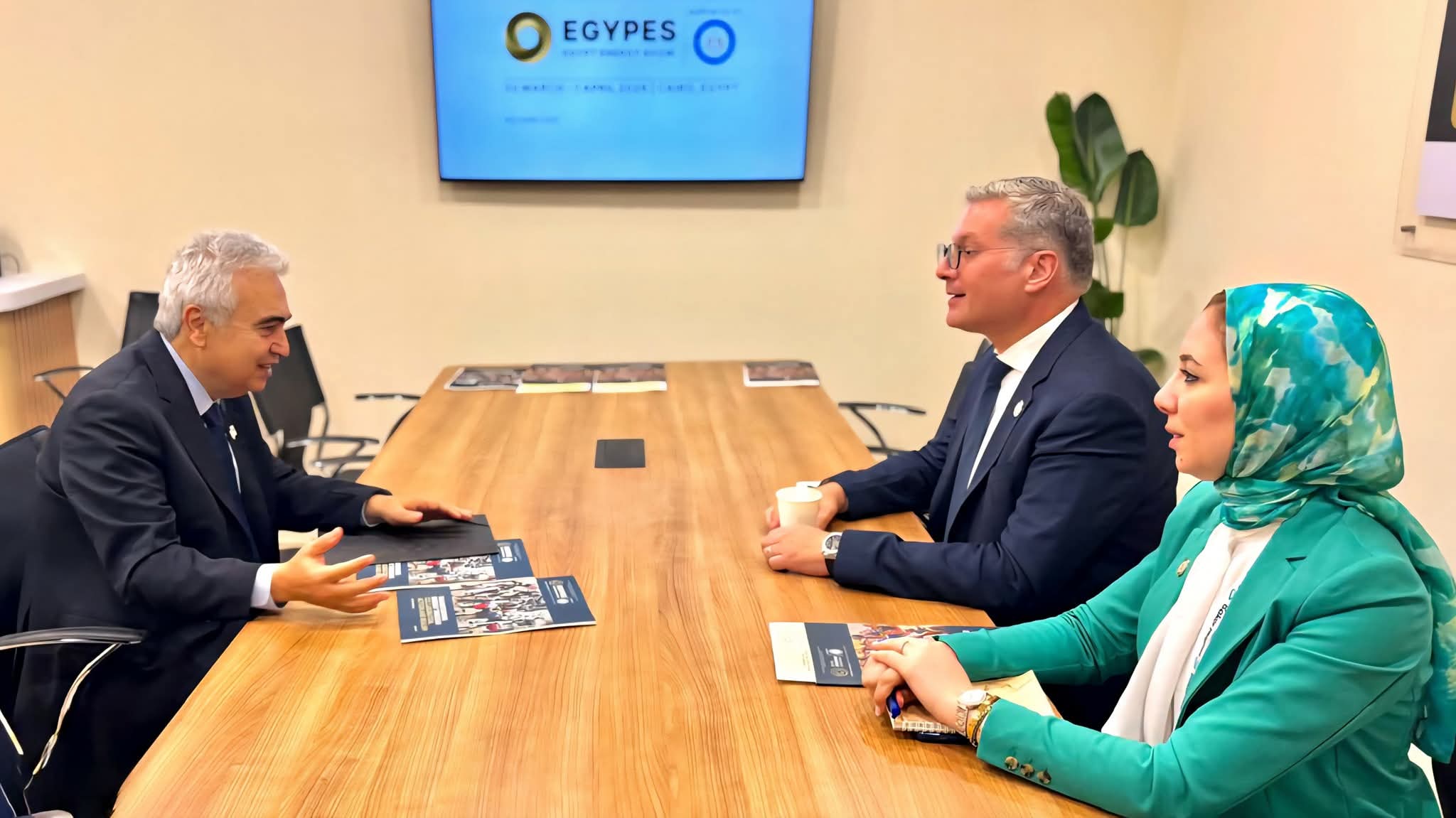 وزير البترول والثروة المعدنية يبحث تعزيز التعاون مع المدير التنفيذي لوكالة الطاقة الدولية
