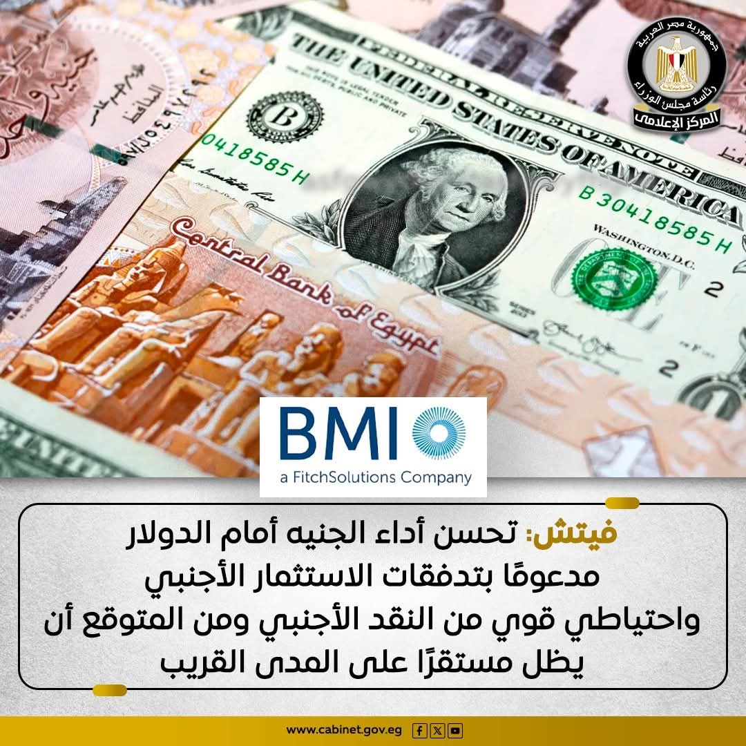 وكالة فيتش :تحسن أداء الجنيه أمام الدولار
