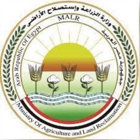 "الزراعة" تنتهي من فحص تقاوي البطاطس لـ "العروة الشتوية التصديرية" بالكامل.. بكمية تتجاوز 320 ألف طن