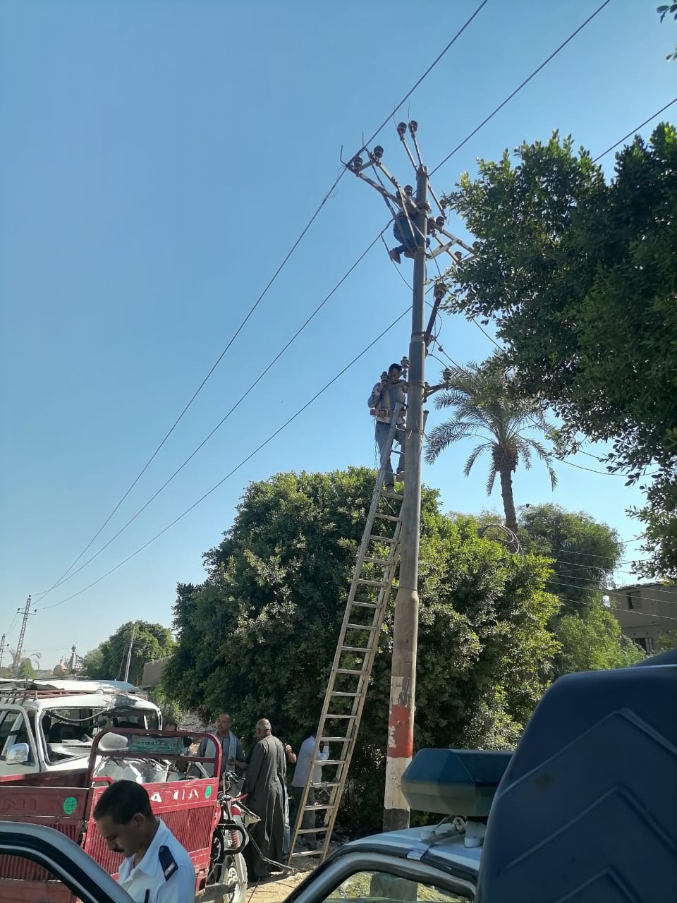 ضبط سارق أسلاك التليفونات بالإسكندرية بعد فضحه عبر فيديو متداول على مواقع التواصل