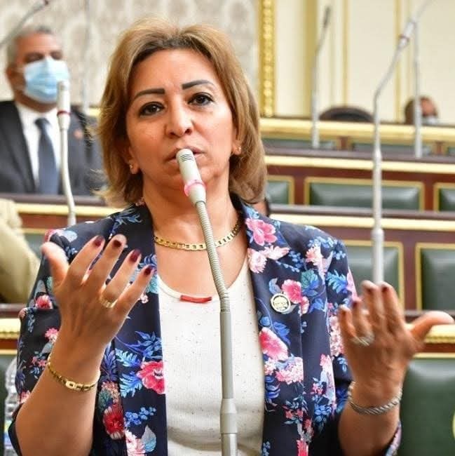 مها عبد الناصر تعلن خوض انتخابات مجلس النواب ضمن القائمة الوطنية: "وجودنا محاولة لفتح المجال العام ومسار التغيير طويل"