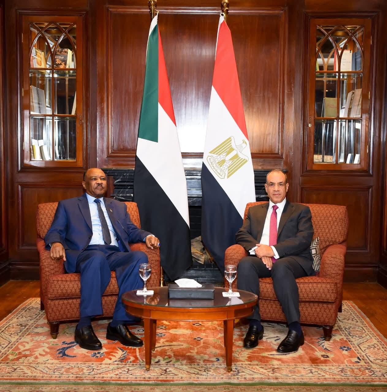 وزير الخارجية يستقبل نظيره السوداني