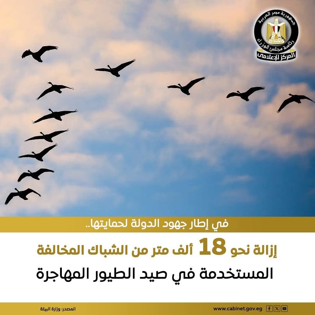 ازاله نحو 18 الف متر من الشباك المخالفه المستخدمه في صيد الطيور المهاجرة