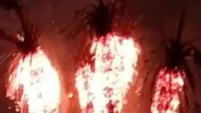 السيطرة على حريق في نخيل بعزبة الزراعة ببنها