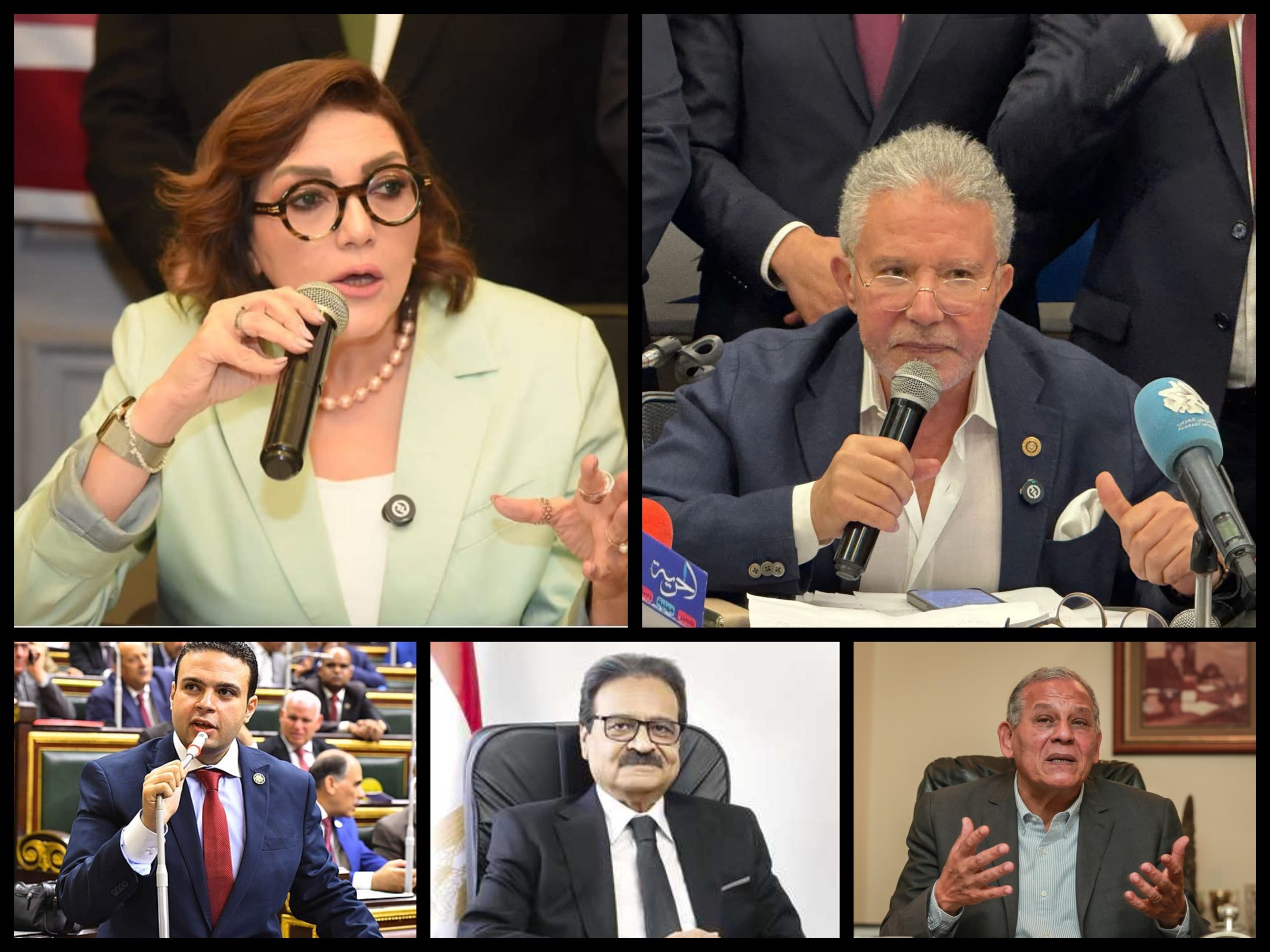 قيادات المعارضة المصرية تتشارك في مواجهة المال السياسي: زهران وجميلة وقرطام وإمام والسادات يرفعون راية المشاركة