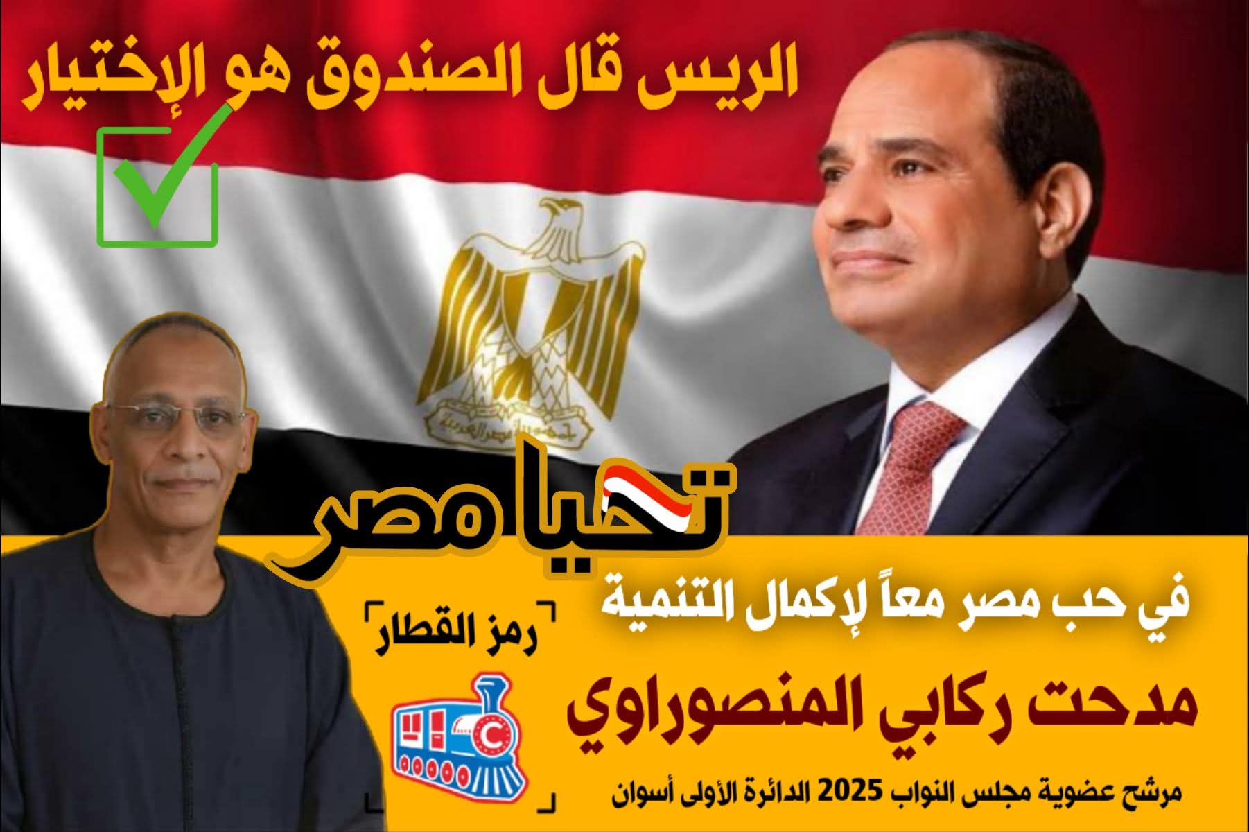 تأييد واسع للمرشح مدحت ركابي المنصوراوي في جولة الإعادة بدائرة أسوان أول