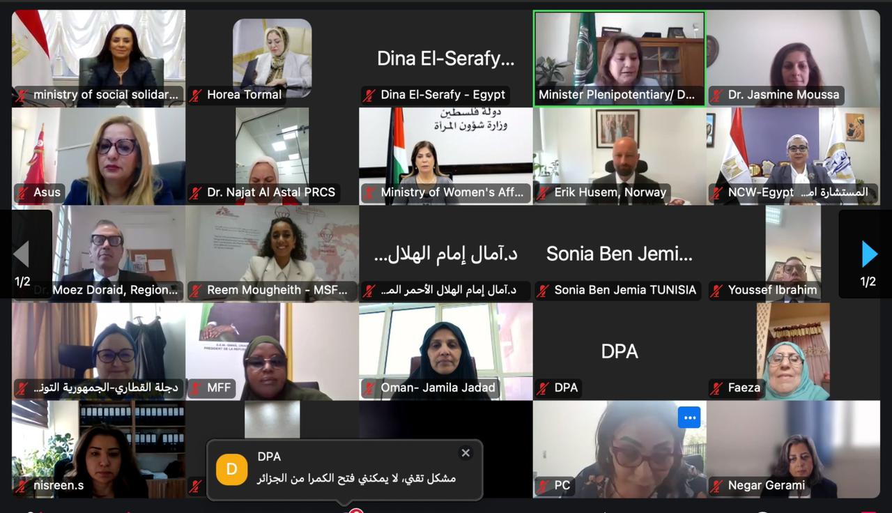 وزيرة التضامن الاجتماعي تشارك في جلسة حوارية إقليمية لجامعة الدول العربية تحت عنوان   "التجويع كسلاح حرب – الحصار والعدوان الإسرائيلي وتداعياته على النساء
