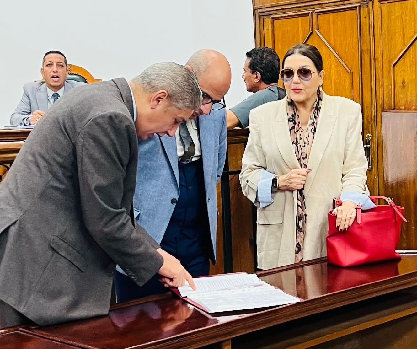 للمرة  السابعة: المحكمة الإدارية العليا تؤجل نظر طعن حزب الدستور إلى ٢٠/١٢ لإلزام لجنة الأحزاب تقديم ما لديها من مستندات