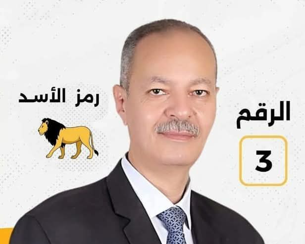 نجاح اليوم الأول من تصويت المصريين بالخارج في انتخابات مجلس النواب 2025