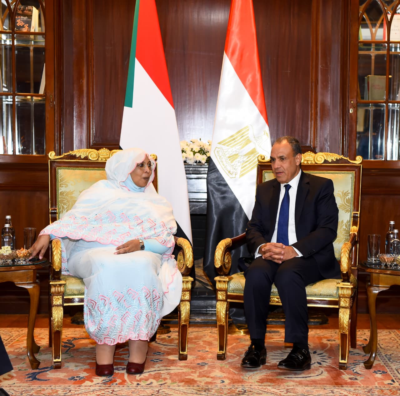 وزير الخارجية يؤكد دعم مصر لمؤسسات الدولة الوطنية السودانية