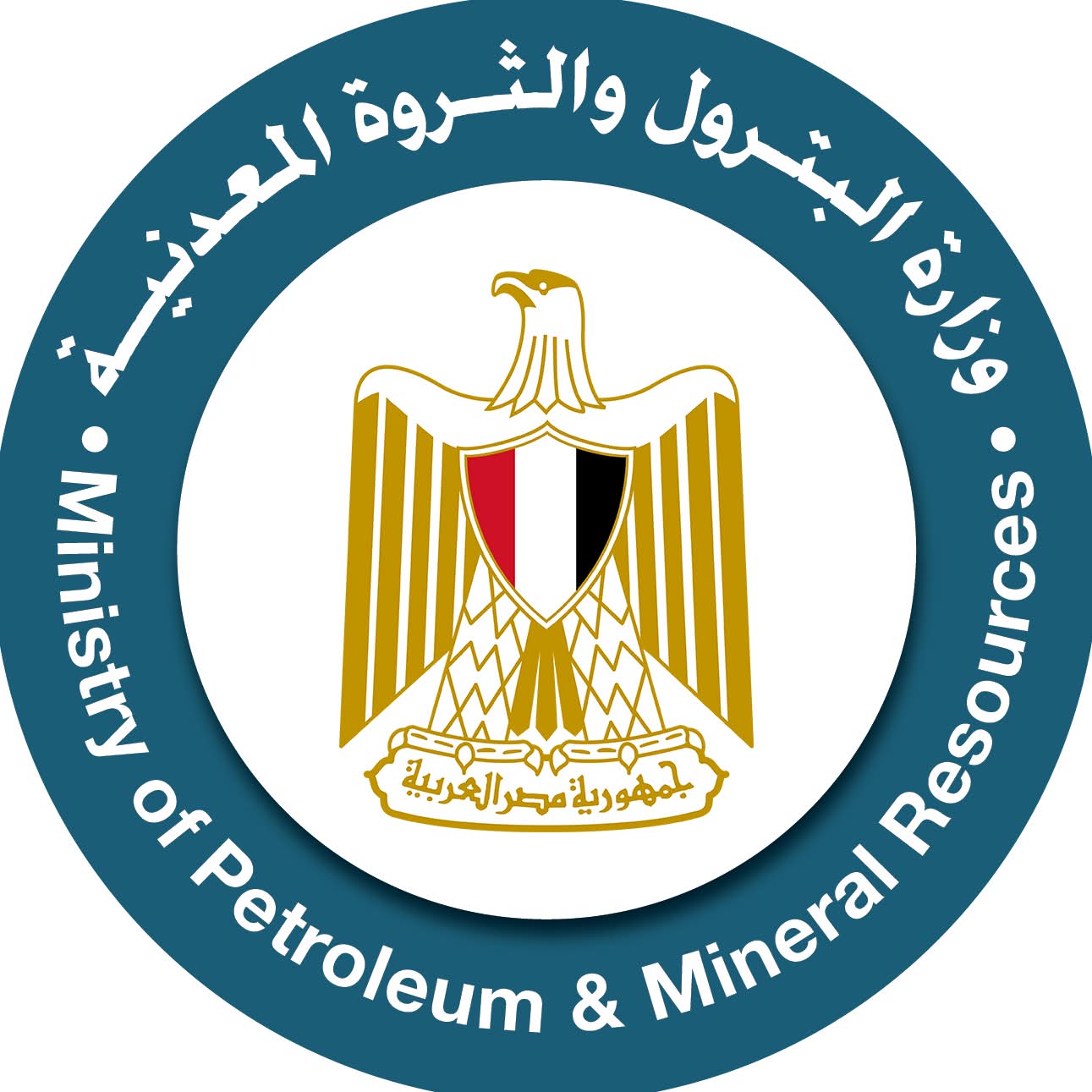 بالتنسيق مع "الداخلية": حملات رقابية تابعة لهيئة البترول تضبط 28 ألف لتر سولار و"مافيا السوق السوداء" وتغريم محطة 81 مليون جنيه