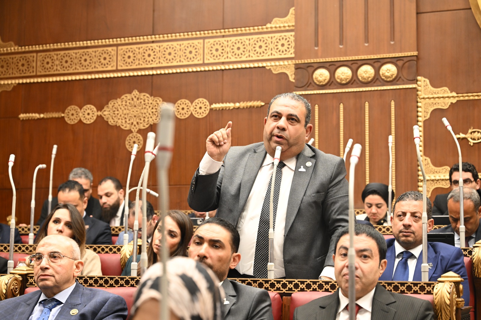 النائب أيمن الصفتي يرفض مشروع تعديل قانون الكهرباء