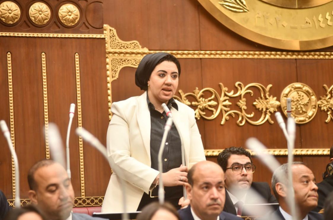 النائبة أميرة صابر تعترض على تعديل بعض أحكام قانون الكهرباء.. وتؤكد: الاعتماد على التغليظ يفضي إلى تشريع عقابي غير محكم بالقدر الكافي