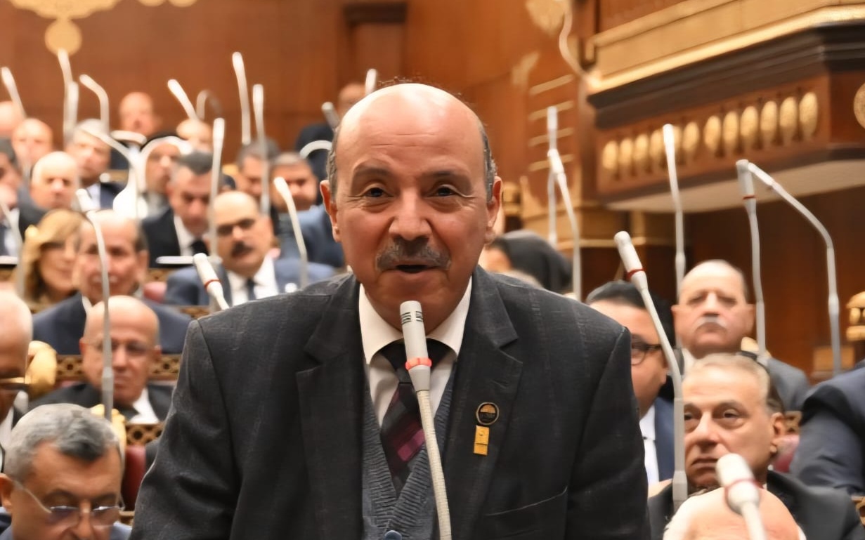المصري الديمقراطي يعلن رفضه مشروع تعديل قانون الكهرباء بتغليظ عقوبة سرقة التيار 