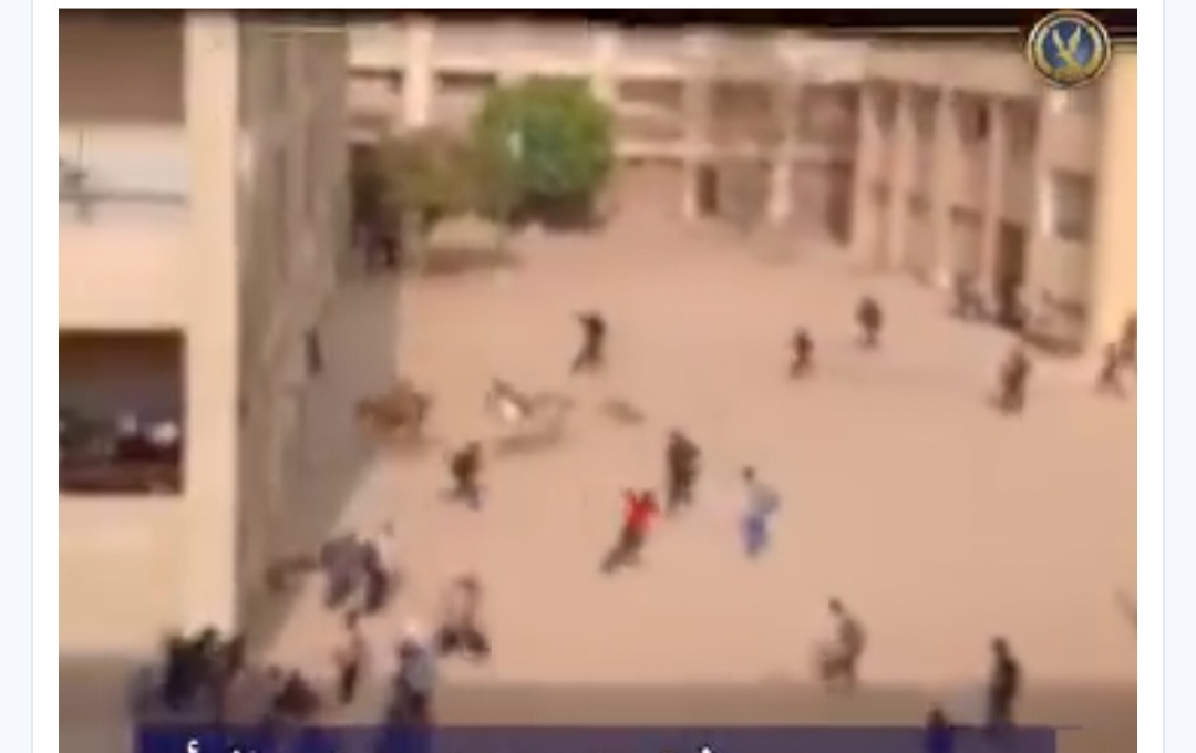 وزارة الداخلية توضح حقيقة إقتحام خيول لمدرسة بالجيزة