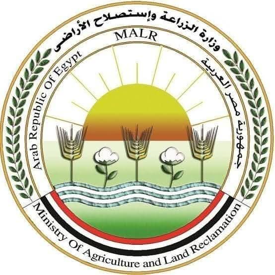 الزراعة" ..تشميع محلاً غير مرخص للدواجن بمحافظة الجيزة بعد ضبط كميات كبيرة من الدواجن غير صالحة للاستهلاك الآدمي