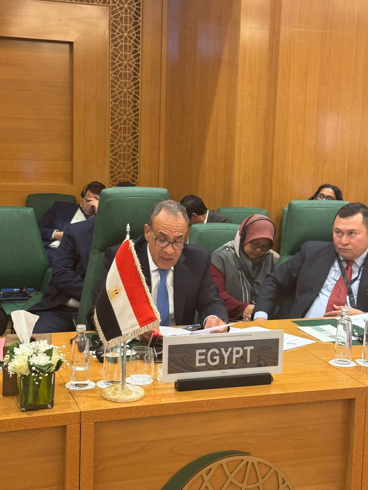 وزير الخارجية يلقي كلمة مصر أمام الدورة الاستثنائية لمجلس وزراء خارجية منظمة التعاون الإسلامي