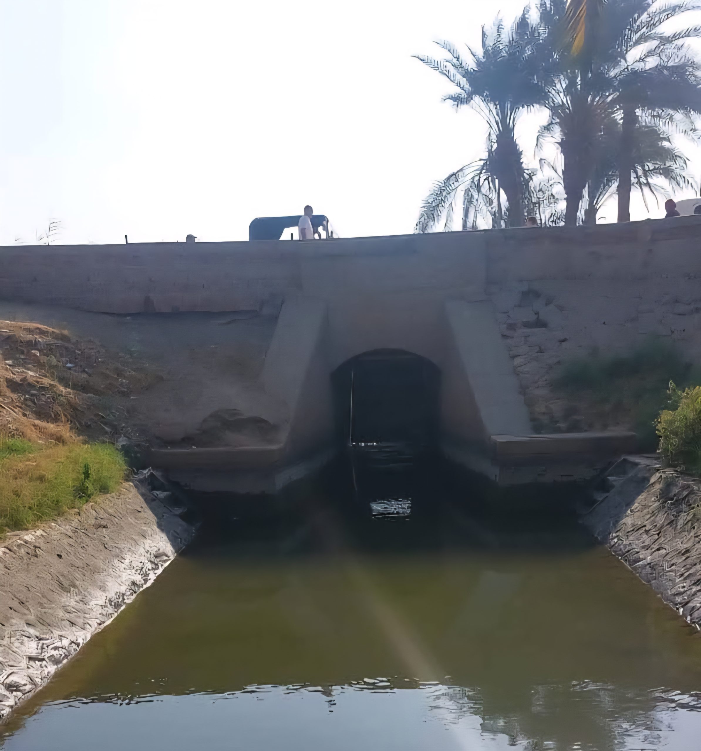 مصرع شخص وإصابة آخرين في انهيار بئر ري بأسيوط