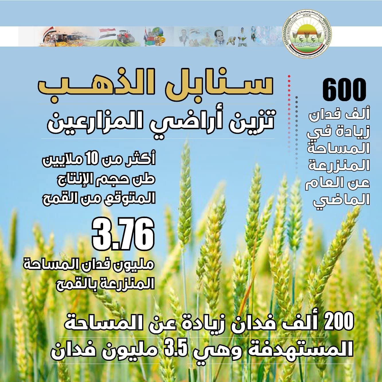 وزارة الزراعة تعلن تجاوز المستهدف من المساحات المنزرعة بالقمح خلال الموسم الحالي: زراعة 3.76 مليون فدان بالمحصول 