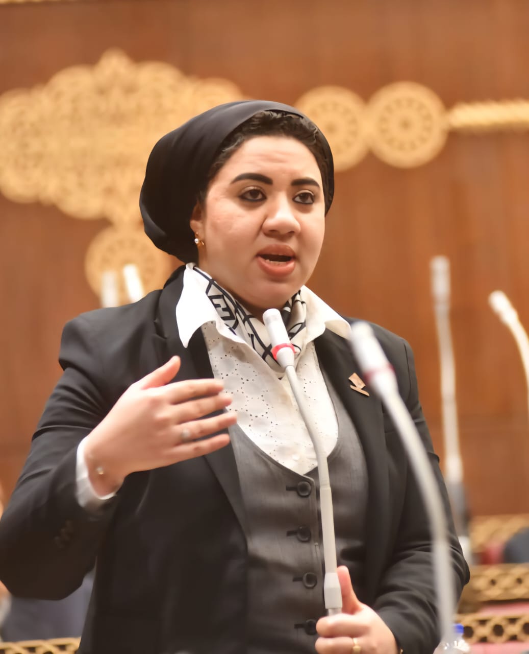 النائبة أميرة صابر : الضريبة العقارية لن تحقق غايتها إذا تحولت إلى أداة تحصيل مالي و يجب أن تكون جزءًا من تصور أشمل لإصلاح القطاع العقاري وضبط مساره  