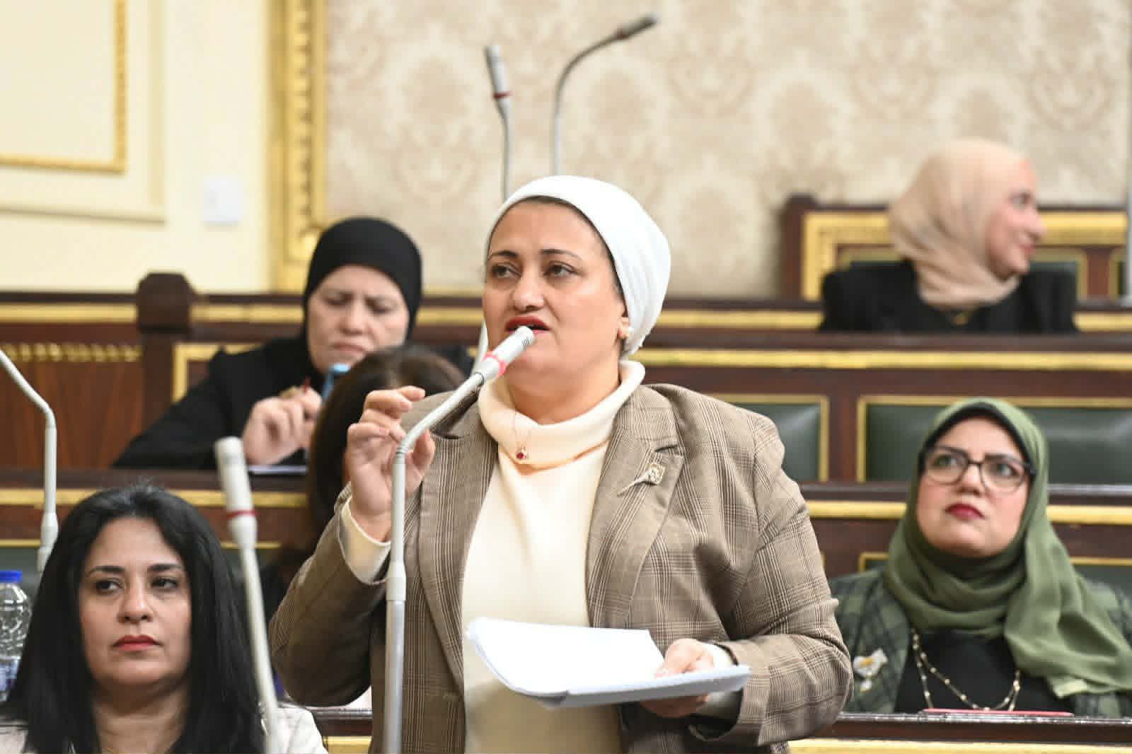 سناء السعيد يجب ربط مصنع رمان الكوم الاحمر بطريق الجيش يكمل انجاز هيئة تنمية الصعيد